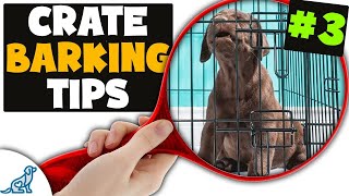 AVOID The Hardest Part Of Puppy Crate Training [upl. by Kata90]