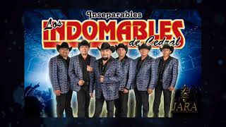 Los Indomables de Cedral 5000 Rosarios Audio Estudio 2018 [upl. by Anrahs]