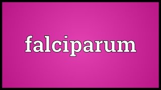 Falciparum Meaning [upl. by Saidel]