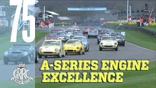 Weslake Cup Highlights  Goodwood 75MM [upl. by Freddi977]