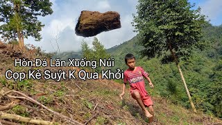 Núi Đá Sập Khi Cọp Kè Và Tuyền Vlog Đi lấy Củi [upl. by Hofstetter]