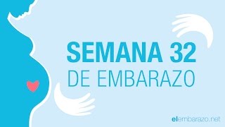 Semana 32 de embarazo  32 semanas de embarazo  El embarazo semana a semana [upl. by Long]