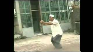 MengCun BajiQuan  tribute to Wu HuanCai [upl. by Peckham70]