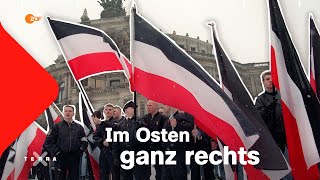 Geschichte der Rechtsradikalisierung in Ostdeutschland  Terra X [upl. by Haonam946]