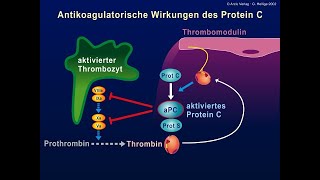 Lungenembolie aus hämostaseologischer Sicht  Charité  PD Dr med Jürgen Koscielny [upl. by Regazzi826]