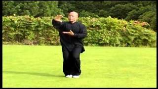 Chen Tai Chi Full Form [upl. by Draner]