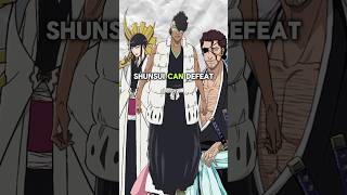 Bleach cour 3 Series Can Shunsui Defeat Squad 0 Members bleachanime bleach shorts [upl. by Kori498]