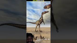 Janwar 🐮😳 amazingfacts dinosaur animals amazing factsero viralshort facts m2facts [upl. by Esinehc]