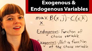 Exogenous amp Endogenous Variables in Economics [upl. by Nitram]