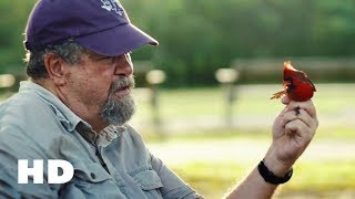 BIRDERS Trailer 2019 Netflix [upl. by Dail248]