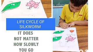 The Life 🧬 Cycle of Silkworm Is Done By My Favourite Student 😍teaching [upl. by Elyssa]