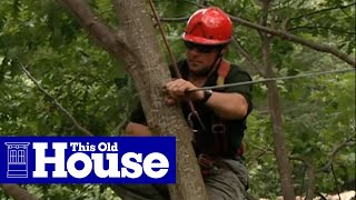 How to Cable a Large Split Tree  This Old House [upl. by Jacklyn]