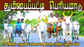 7தும்பைப்பட்டி பெரியமாடு பந்தயம் 14092024 [upl. by Drapehs562]