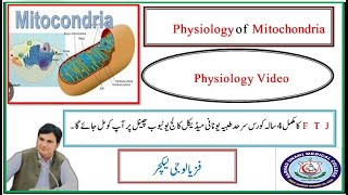 Powerhouse of CellAnatomy amp Physiology of MitochondriaPhysiology Video 5 [upl. by Dorcea]