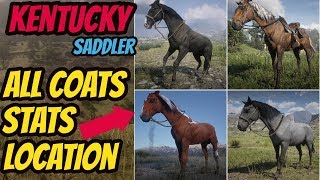 Red Dead Redemption 2 Kentucky Saddler LOCATION amp ALL COATS amp STATS GOOD HORSE GUIDE [upl. by Eciralc]