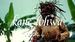 Official Video Kane Lohwa [upl. by Herrah]