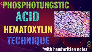 Phosphotungstic acid hematoxylin technique PTAH stain [upl. by Nivonod]