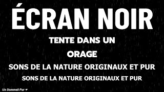 Pluie pour Dormir Profondément en 5 Minutes  Bruit de la Pluie et Orage dans la Forêt Brumeuse [upl. by Anauqat580]