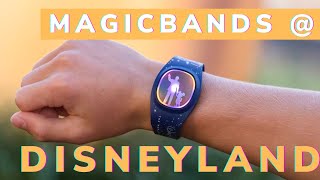 What Do MagicBands Do at Disneyland [upl. by Raychel39]