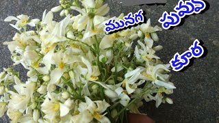 Munaga Puvvu Curry Drumstick Flowers Recipes in telugu Awesome Recipes [upl. by Eelyme]