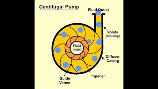 How does a Centrifugal pump work  Centrifugal pump working animation  Types of pump [upl. by Del]