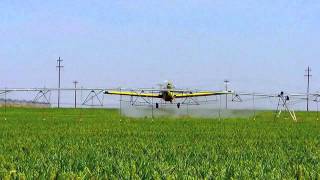 Crop Dusting  Air Tractor 802  Muleshoe Tx [upl. by Caplan]