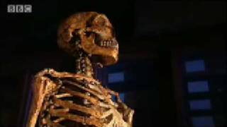 Highpitched voice theory  Neanderthal  BBC science [upl. by Arezzini723]