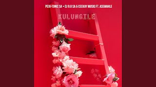 Kulungile feat Asemahle [upl. by Ardath]