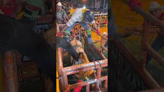 Crazy Bull Riding [upl. by Nyahs]