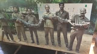 chennai snake parkguindy parkchildrans park [upl. by Rehpetsirhc]