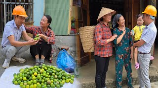 Motherinlaw and daughterinlaw Picking lemons to sell  a family meal filled with Happiness [upl. by Elokkin]