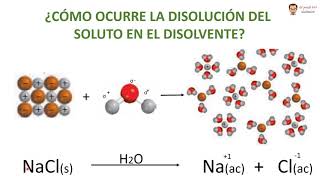 QUÍMICA BÁSICA VIDEO 22 DISOLUCIONES 1 Electrolitos equilibrio químico y reglas de solubilidad [upl. by Musette]