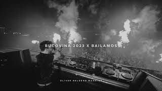 Bucovina 2023 X Bailamos [upl. by Anerb]