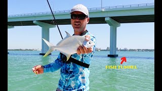 Sand Key Park Clearwater Florida POMPANO Fishing Red Tide Update [upl. by Wolfgram787]