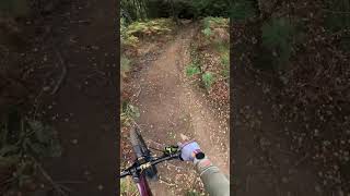 Blue View Glassie Bike Park MTB Trail Part 3 [upl. by Gary474]