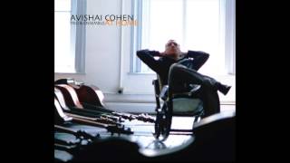 Avishai Cohen  Remembering [upl. by Llertnom238]