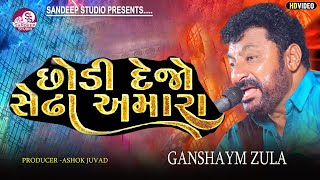 છોડી દેજો શેઢા અમારા Trending Song2024  GANSHAYM ZULA  SANDEEPSTUDIO [upl. by Amej316]