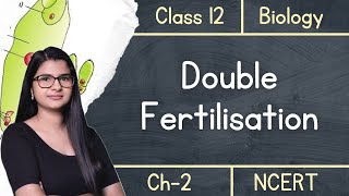 Class 12  Double Fertilisation amp Triple Fusion  under 4 mins [upl. by Sotnas]