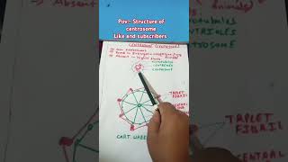 Structure of centrosome  class 11  neet biology motivationDo subscribe [upl. by Esetal]