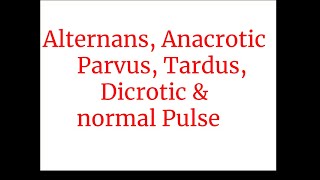 Alternans Anacrotic  parvus tardus dicroticamp normal Pulse [upl. by Farly685]