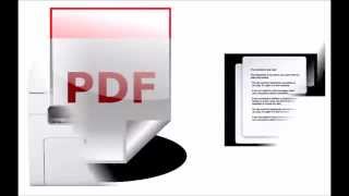 1 PCT Base il formato PDF degli atti e dei documenti nel PCT [upl. by Lamson]