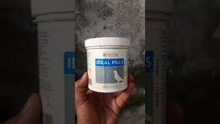 VERSELELAGA PRODUCT IDEAL PILLS FOR PIGEONS pigeon idealpills verselelaga youtubevideo [upl. by Areem104]