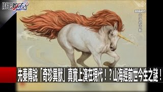 先秦傳說「奇珍異獸」真實上演在現代！？山海經前世今生之謎！馬西屏 劉燦榮 朱學恒 201610284 關鍵時刻 [upl. by Stodder]