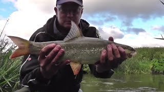 Warwickshire Avon barbel [upl. by Dorothea]