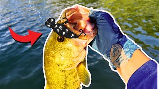 NEVER Skip Over This Bait In The Summer Months  Crankbaits For Late Summer Bass [upl. by Ardnuaek539]