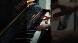 NUVOLE BIANCHE by LUDOVICO EINAUDI piano ludovicoeinaudi nuvolebianche pianocover [upl. by Yesima]