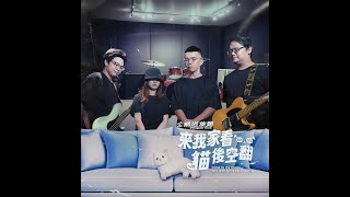 企鵝迴旋踢 Penguin Kick  來我家看貓後空翻 Demo Music Video [upl. by Constantina]