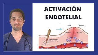 ACTIVACIÓN ENDOTELIAL  INMUNOLOGÍA [upl. by Adlesirc]