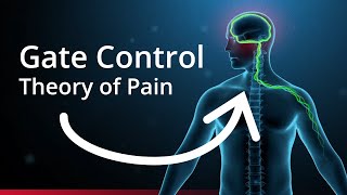 The Science of Pain Management [upl. by Ahsela]