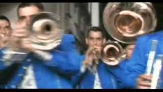 Arrolladora Banda El Limon  Los Puritos Huesos [upl. by Palgrave]